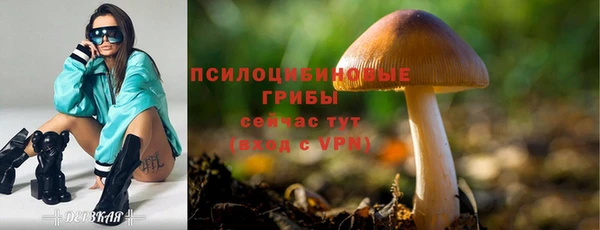 дурь Мегион
